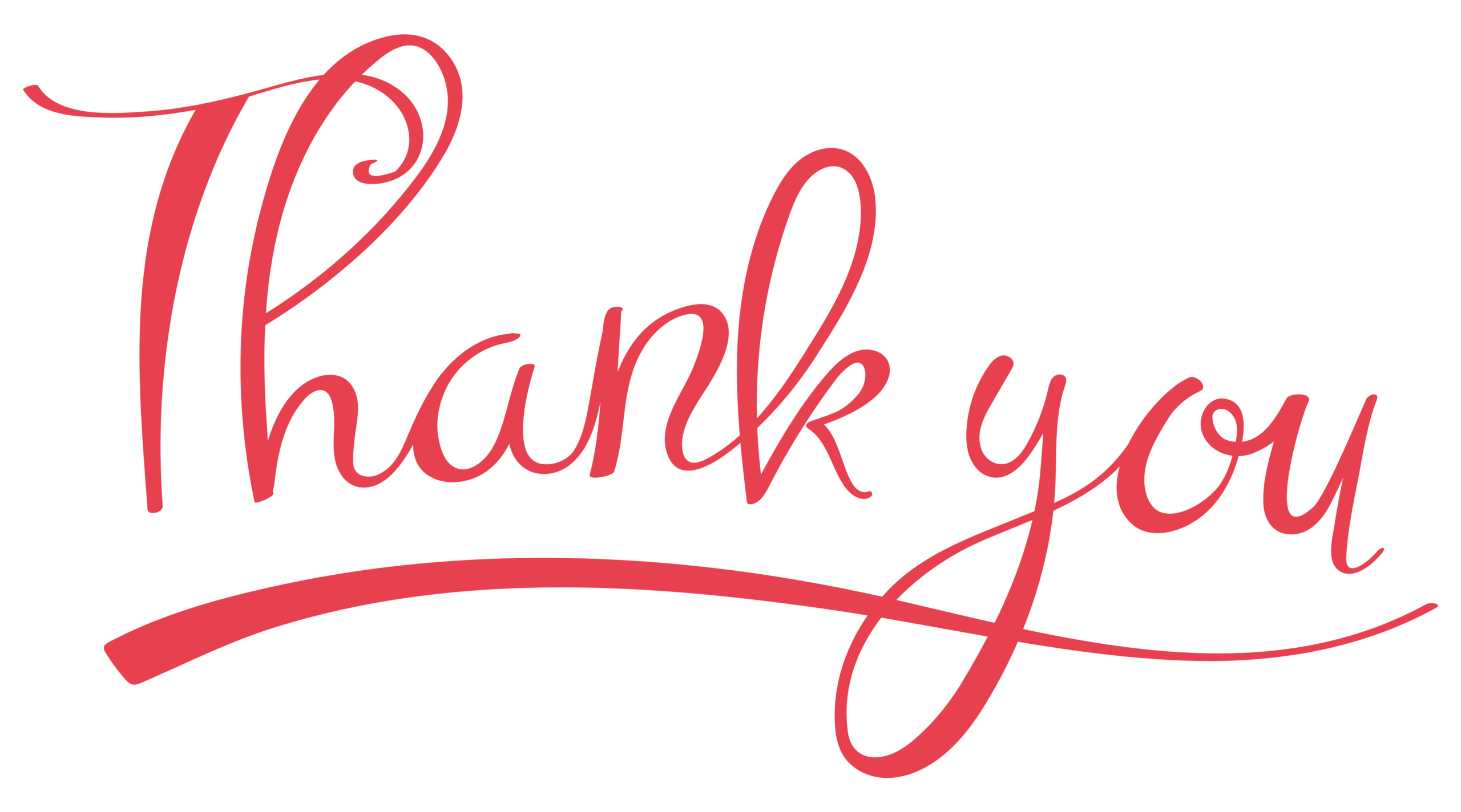 Thank you typography design premium vector PNG
