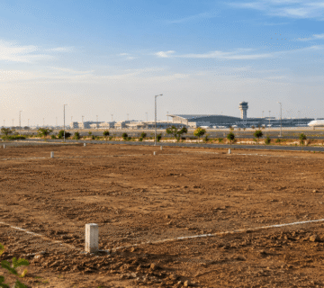 Dholera plots